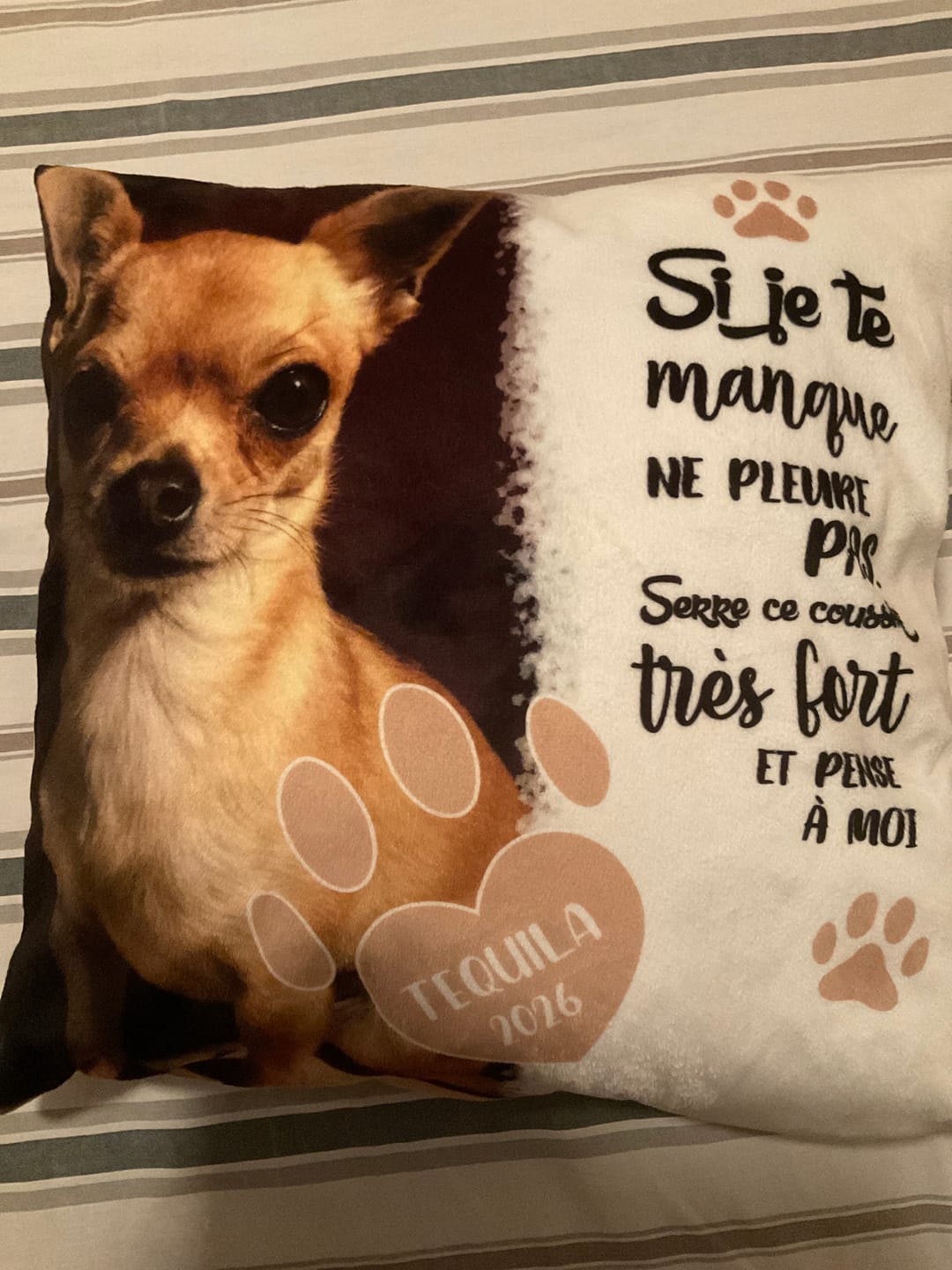 Customer photo review of Si je te manque - Coussin personnalisé