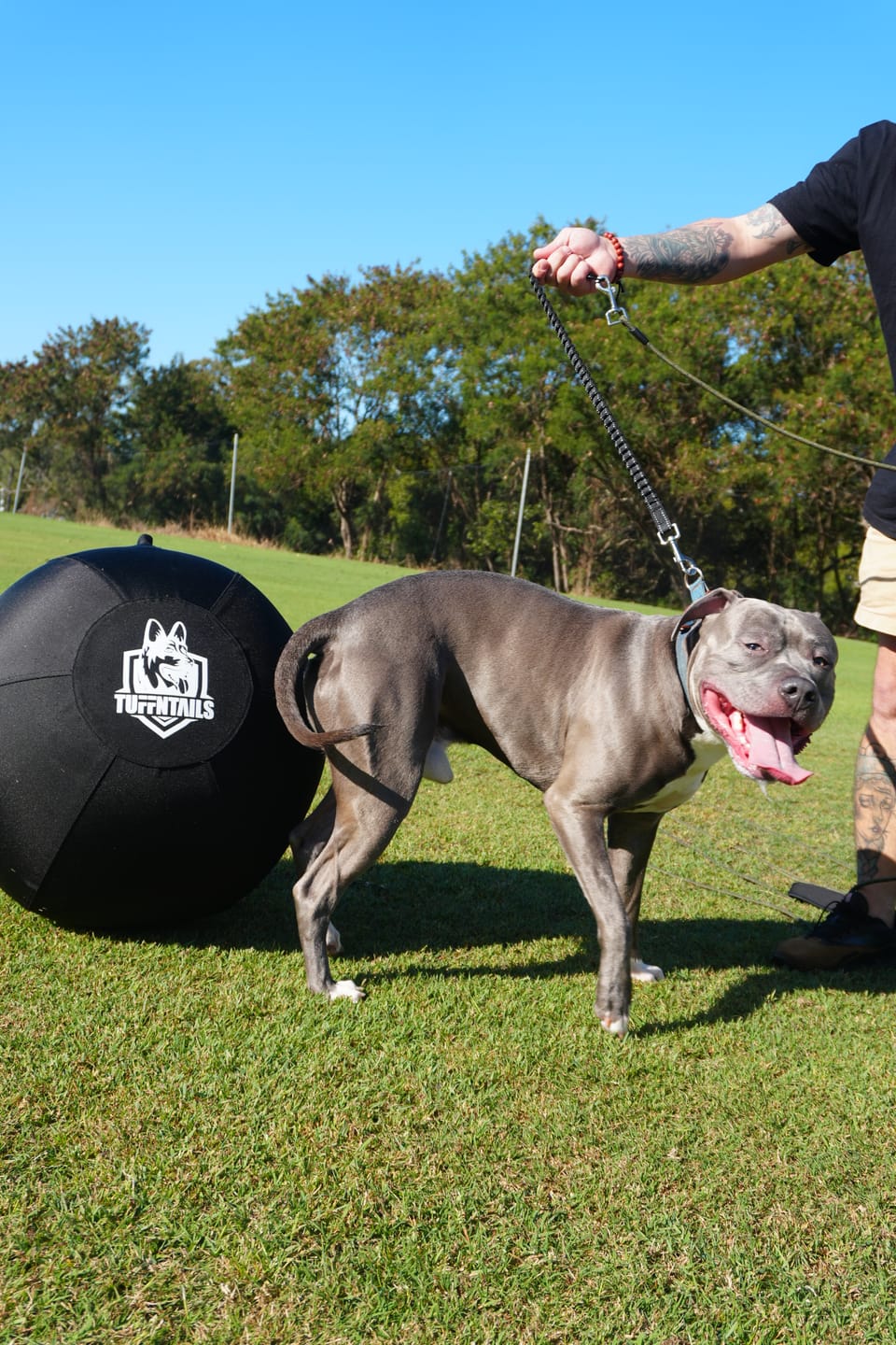 Customer photo review of Power Breed Herding Ball