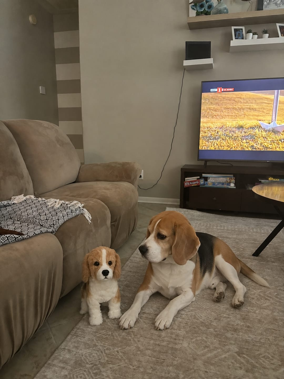 Customer photo review of Customized realistic pet plush toys
