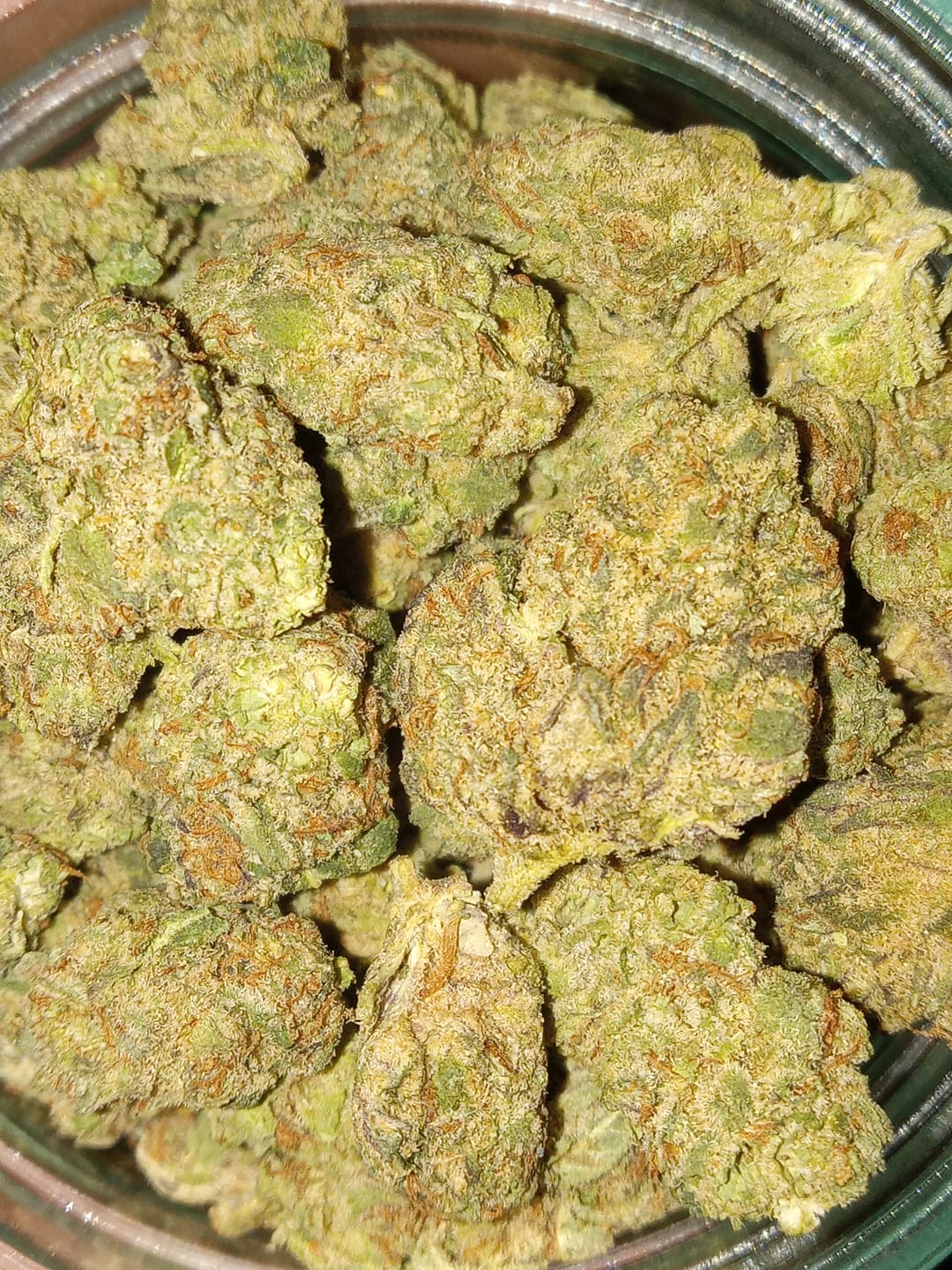 Customer photo review of Sunrise to Sunset Exotic Smalls Bundle