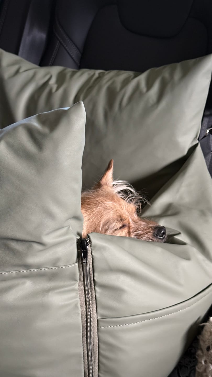Customer photo review of The Dog Dock V2 New & Improved with LATCH / ISO FIX anchors
