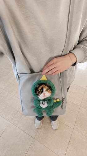 Cat sitting inside the gray pet carrier