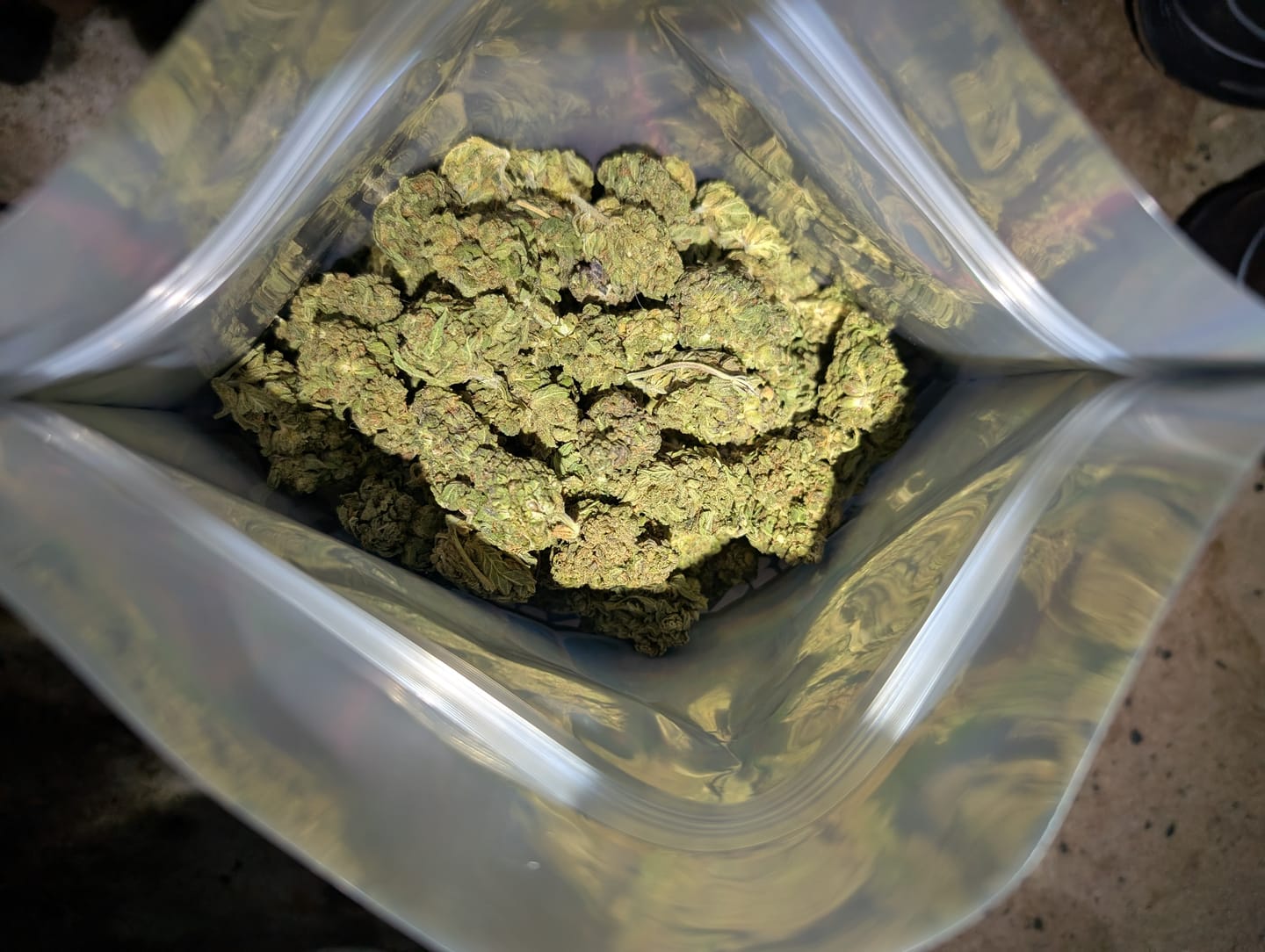 Customer photo review of Mochi Gelato - Bulk - Indica