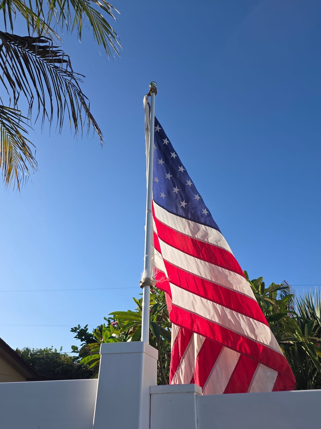 Customer photo review of Non-Tangle Flagpole Spinners