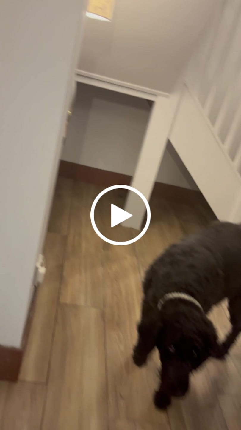 Customer video review of GoPoxy Epoxy Grout