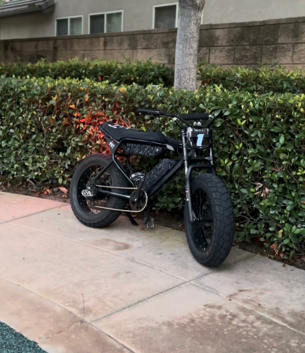 Customer photo review of Macfox X7