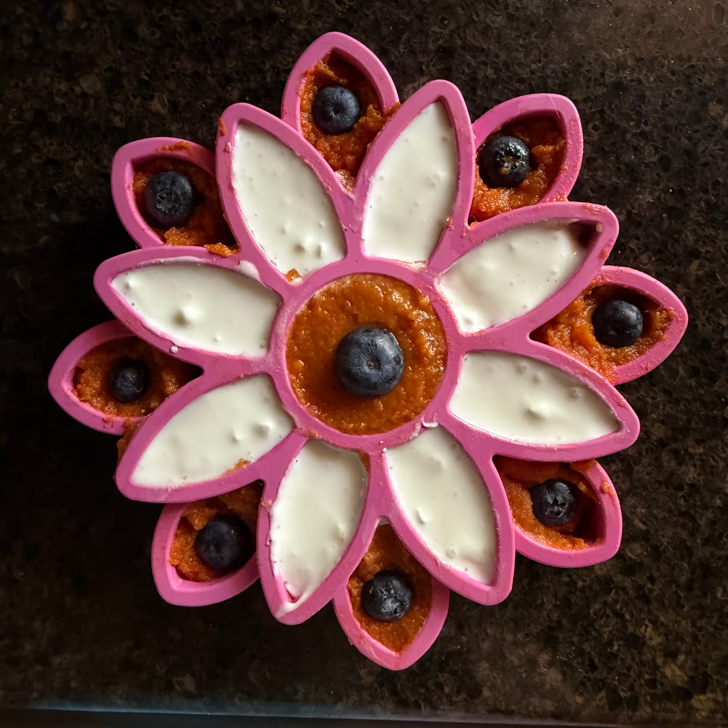 Customer photo review of AUCTION ONLY - FreezSunflower - Interactive Frozen Sunflower Dog Chew