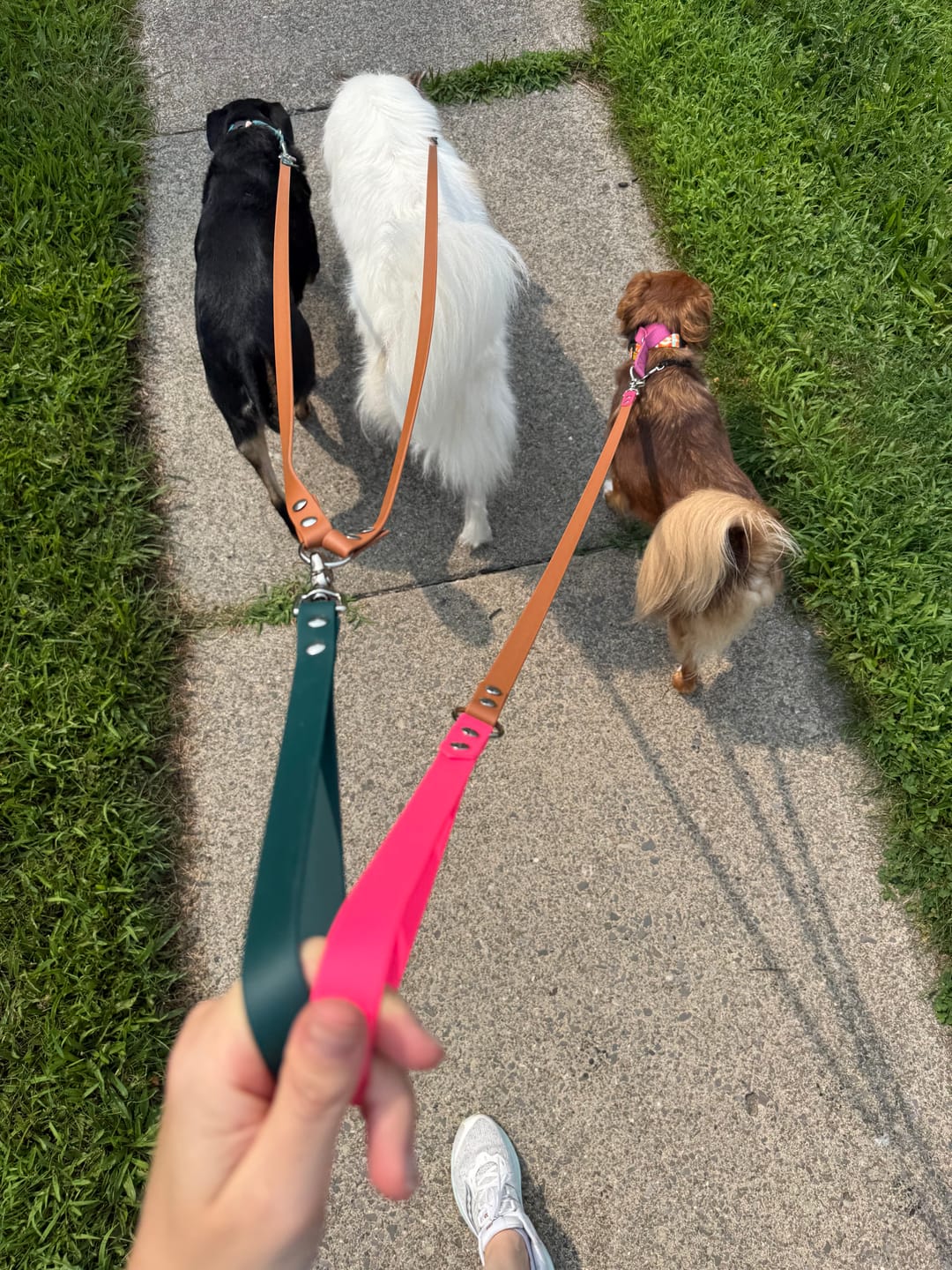Customer photo review of Waterproof Two Dog Leash / Two Dog Leash Splitter | Built with BioThane®