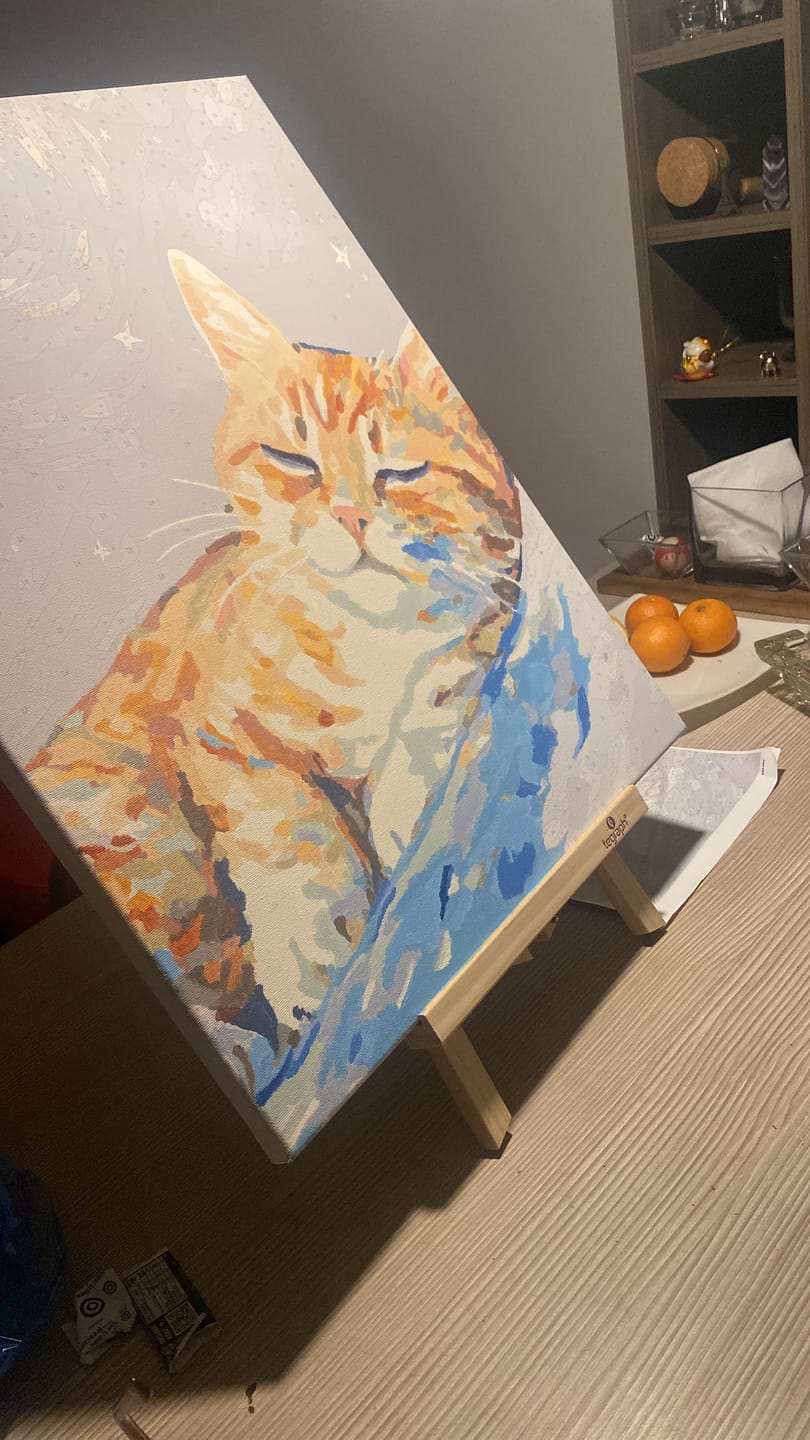Customer photo review of Sueño Felino (Pintura por Números) 40x50 cm