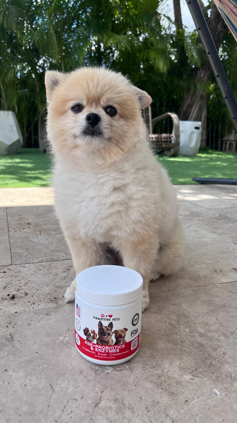Customer photo review of Pre+Probiotics for Dogs Digestive Health – 120 Soft Chews (Beef Flavor)
