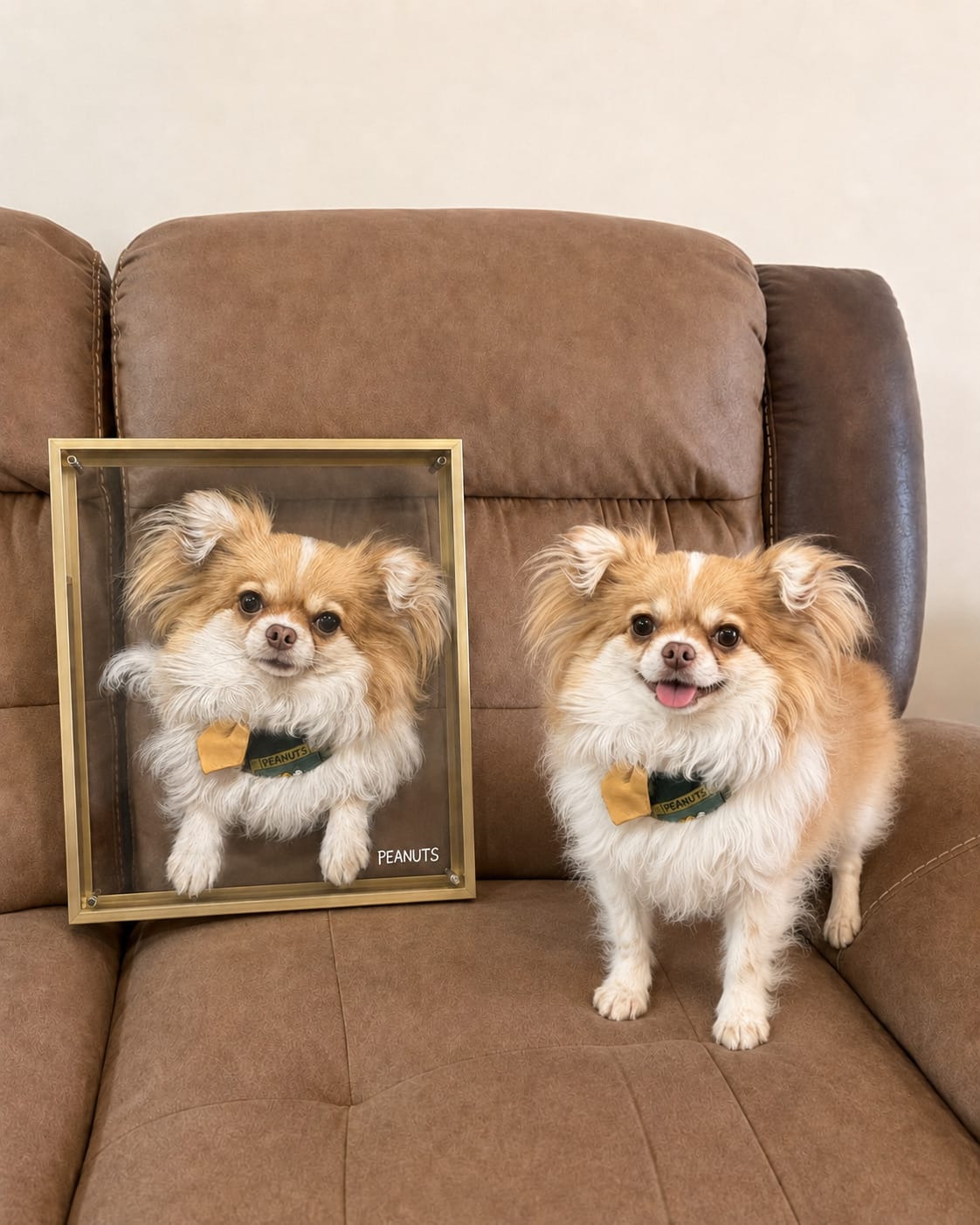 Customer photo review of 3D Hand-Drawn Pet Portraits