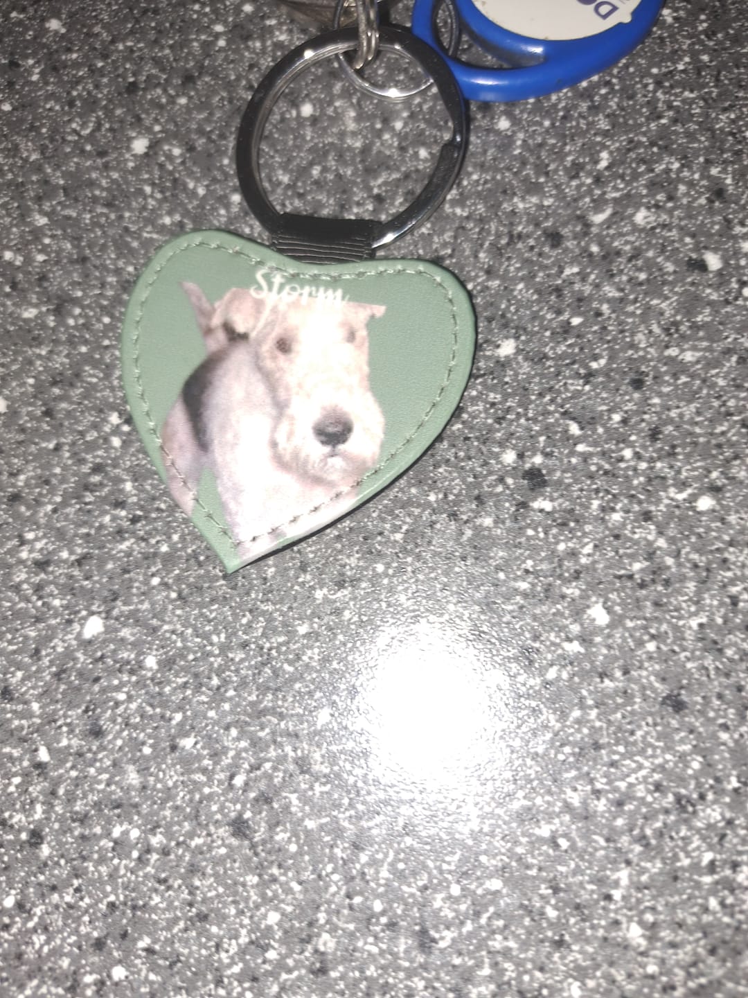 Customer photo review of Huisdier portret - Gepersonalliseerde sleutelhanger