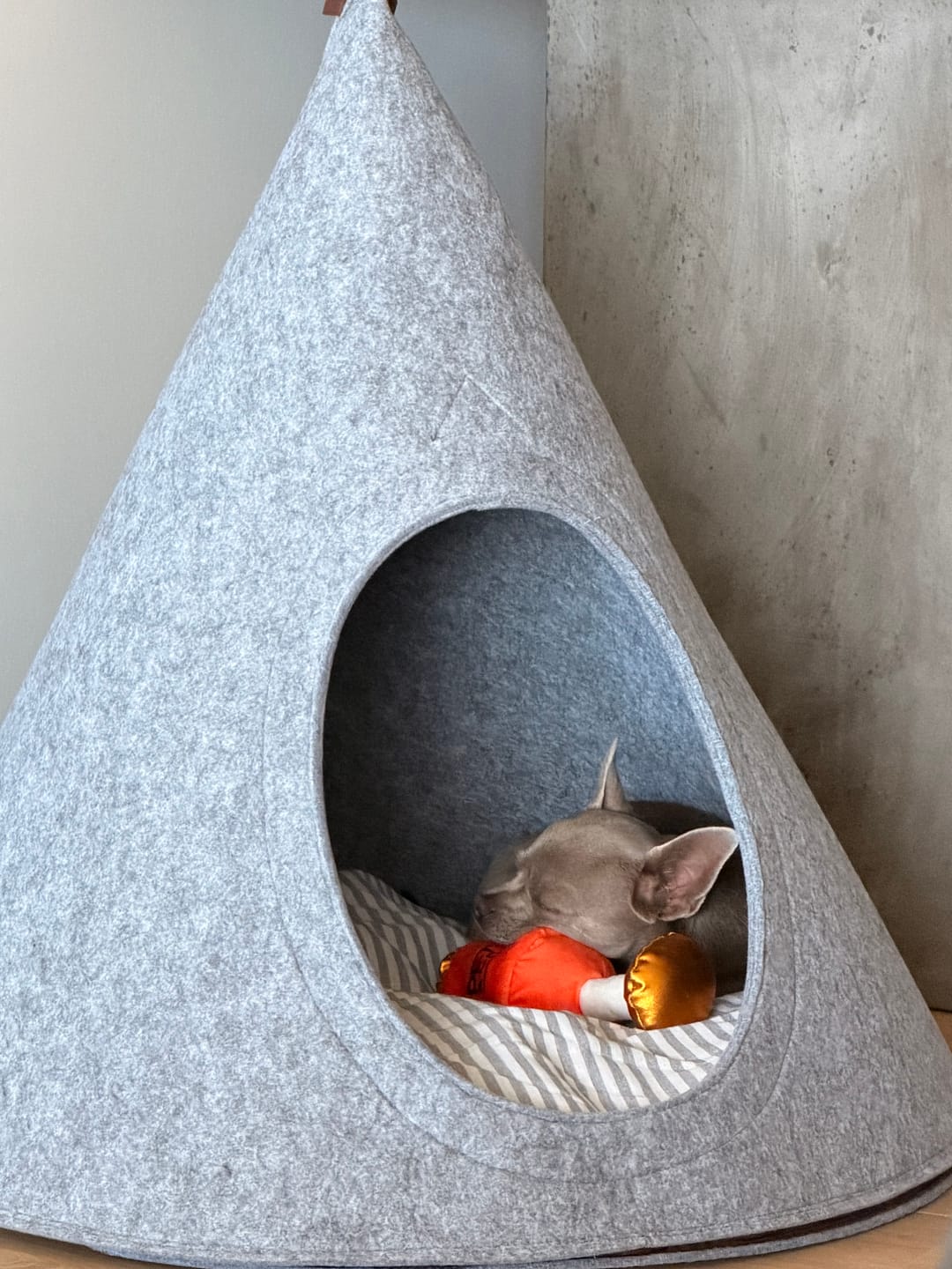 Customer photo review of Tonto - Luxury Dog Tipi