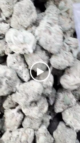 Venom OG - Bulk - Indica photo review