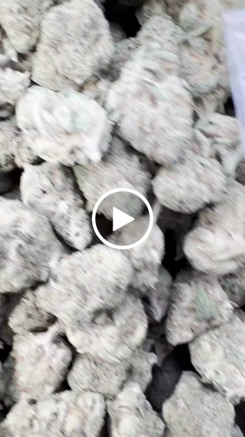 Customer video review of Venom OG - Bulk - Indica