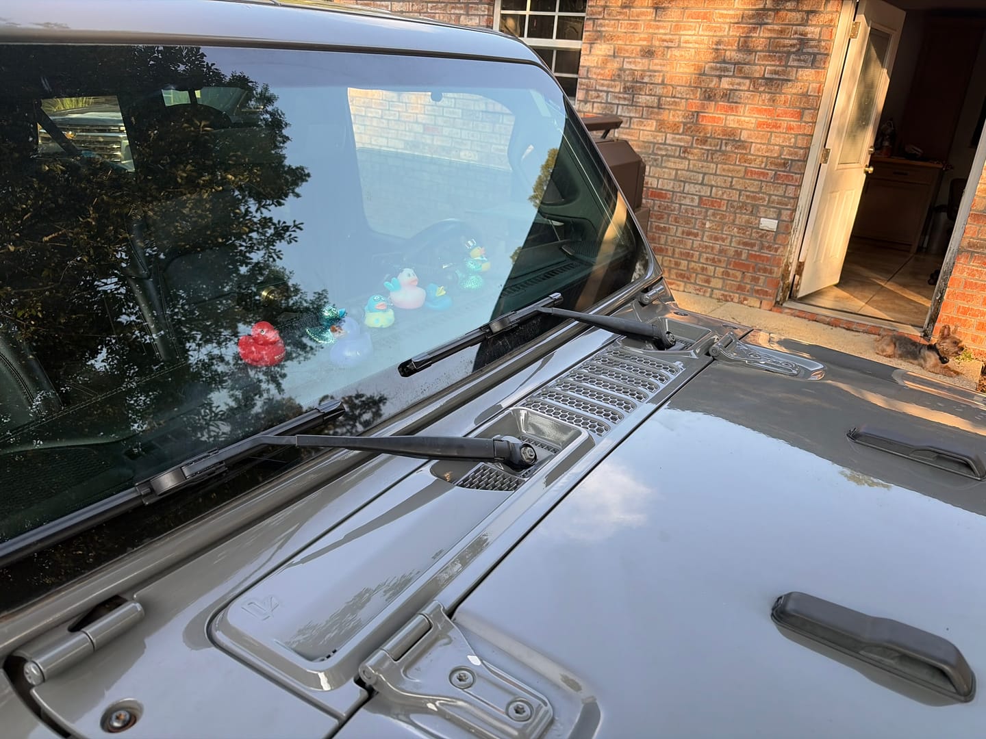 Customer photo review of Cowl Wiper Panel Painted OE Color (Fits JL/JT 2018-2026)