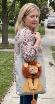 Orange cat inside the gray pet carrier