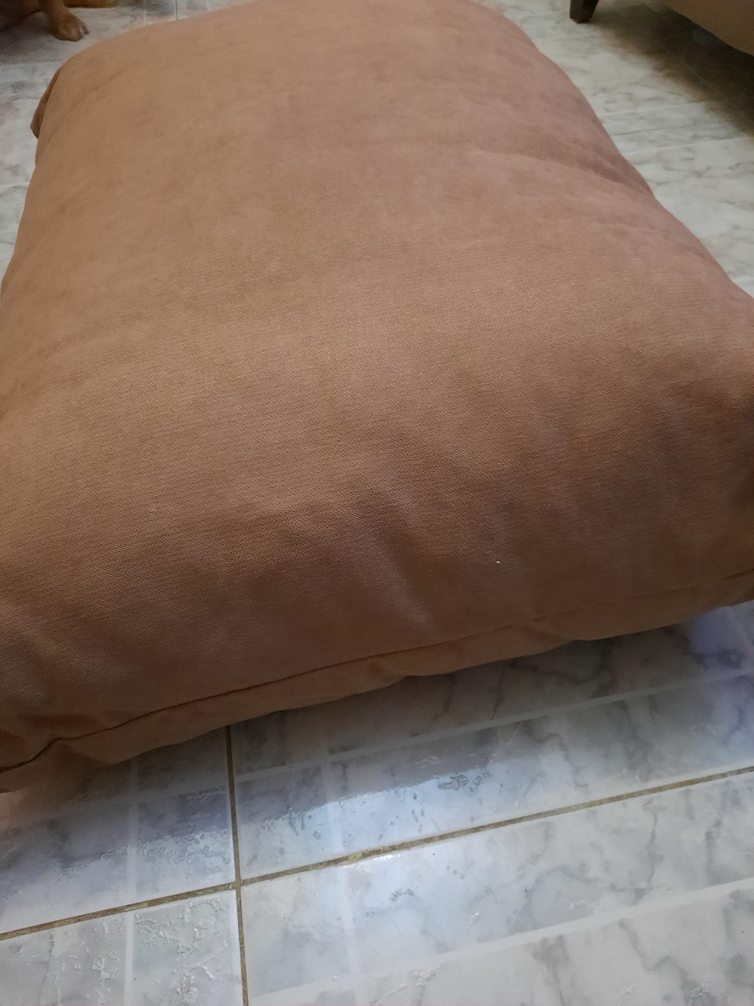Customer photo review of Rito- Large Pets Cushion for Dogs & Cats