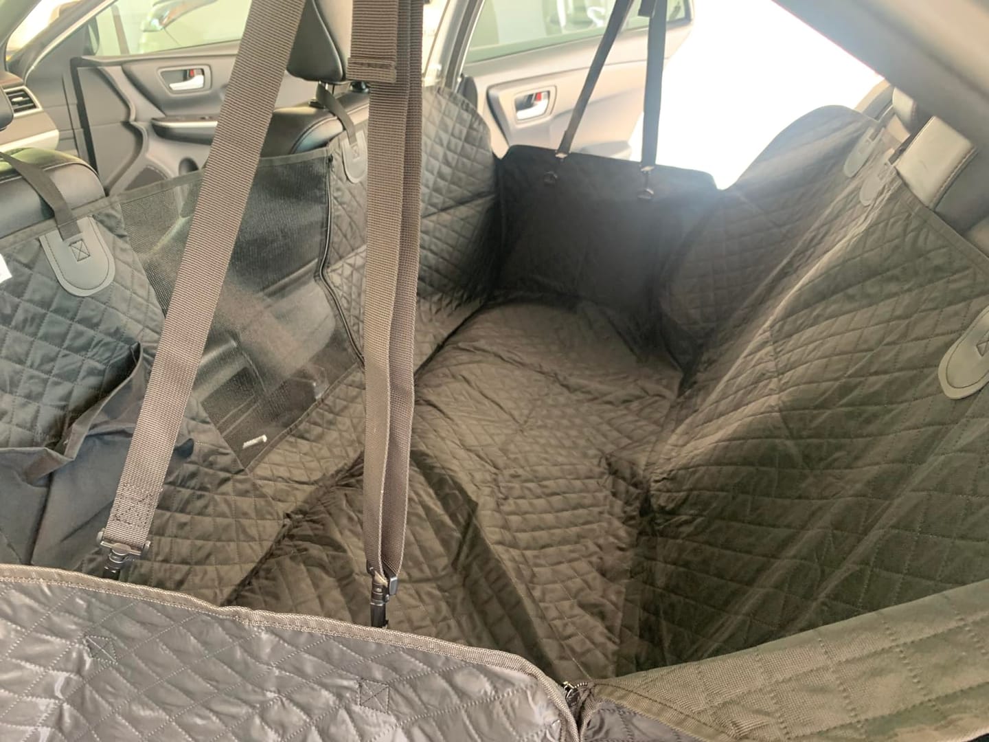 Customer photo review of DOG CAR SEAT COVER