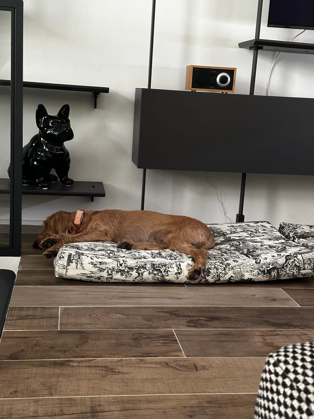 Customer photo review of Materassini per Cani Toile de Jouy | Letti Eleganti e Sfoderabili Made in Italy | Leo e Luna