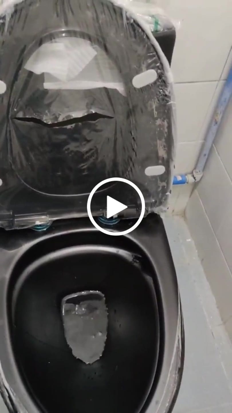 Customer video review of Gota – Black Modern One-Piece Toilet with Dual Flush & Soft-Close Seat