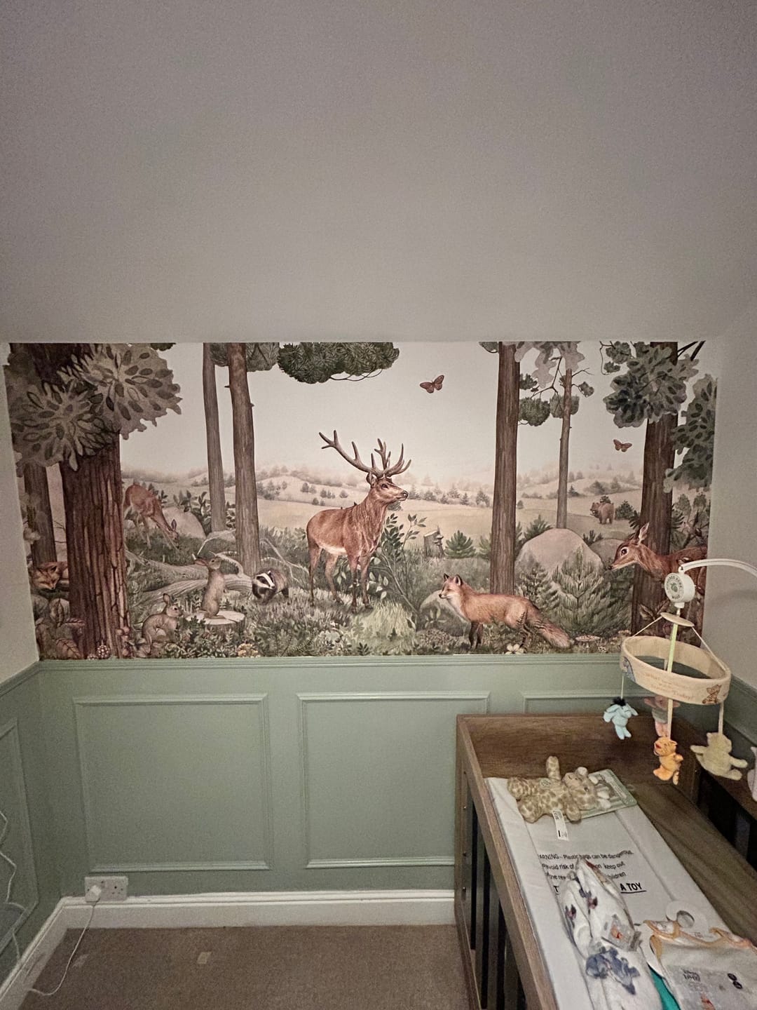 Customer photo review of Forest Jive - Children's Brown Woodland Animal & Trees Wallpaper Mural