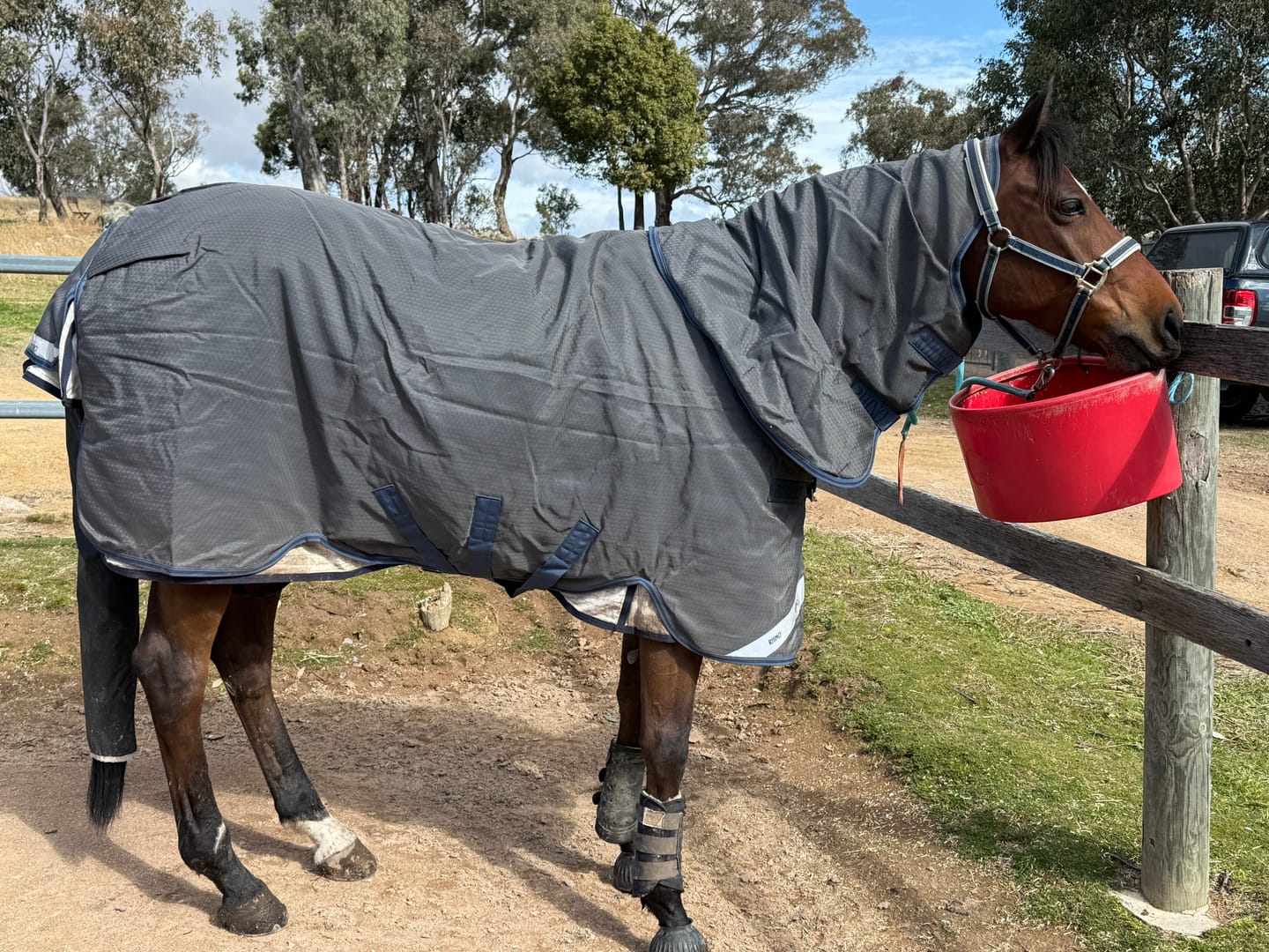 Customer photo review of Rhino Plus Hexstop Turnout 250g