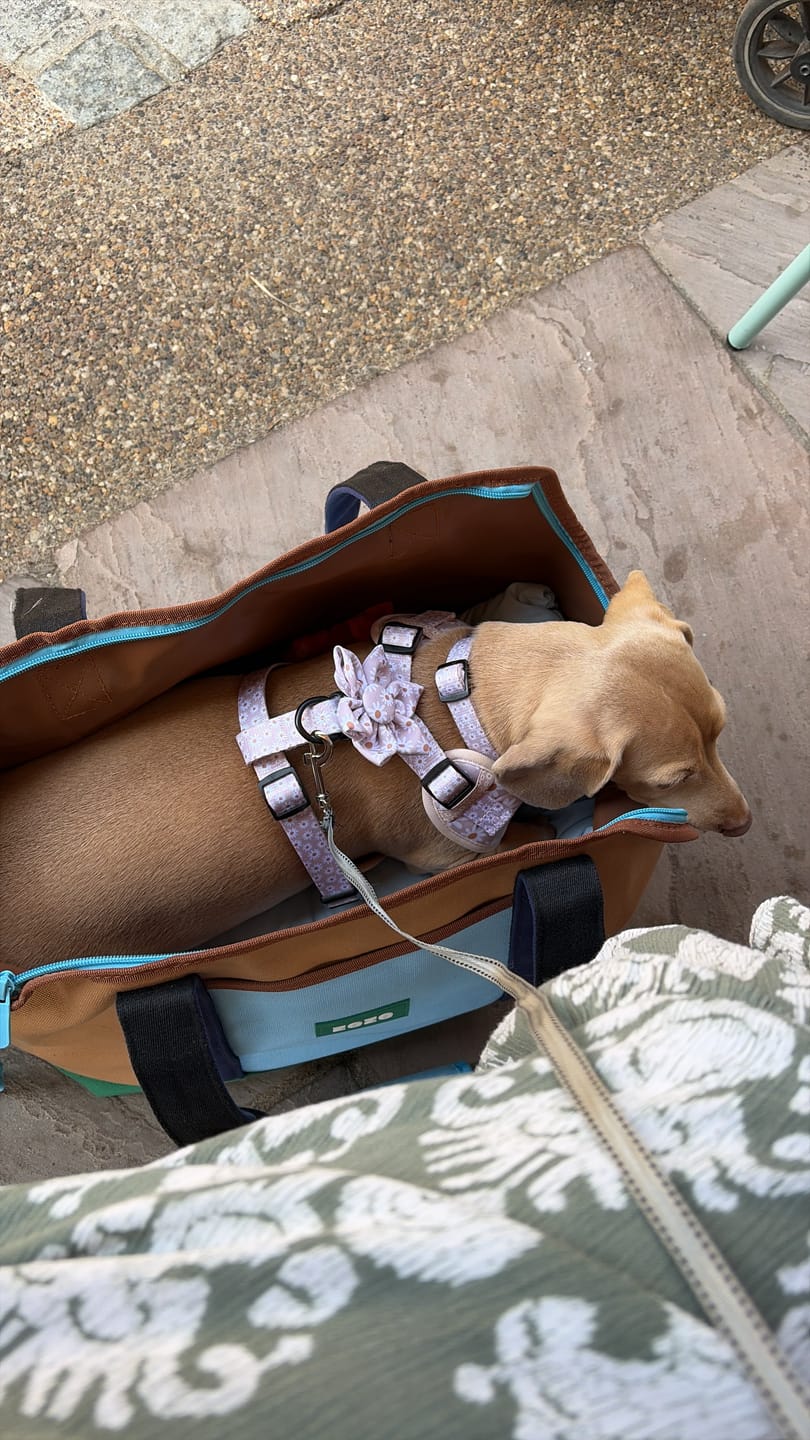 Customer photo review of Urban Palette Travel Tote