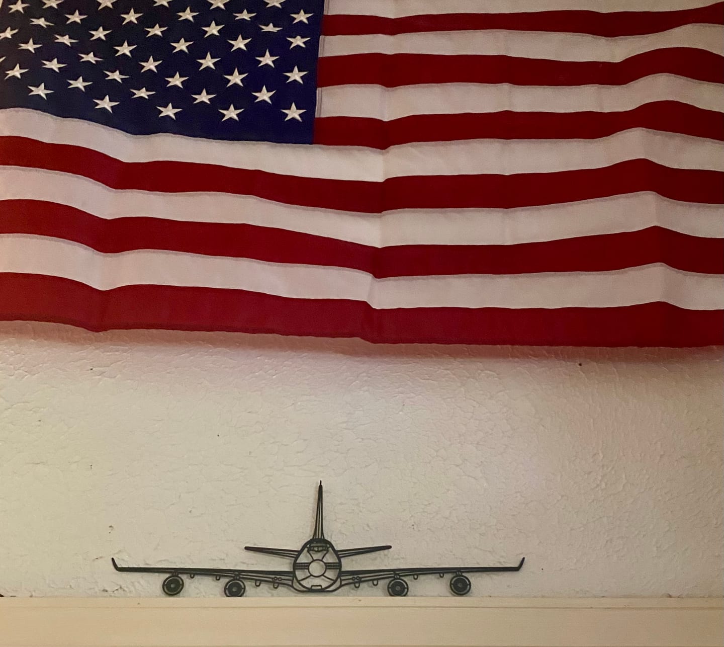 Customer photo review of 747 Front Silhouette Metal Wall Art