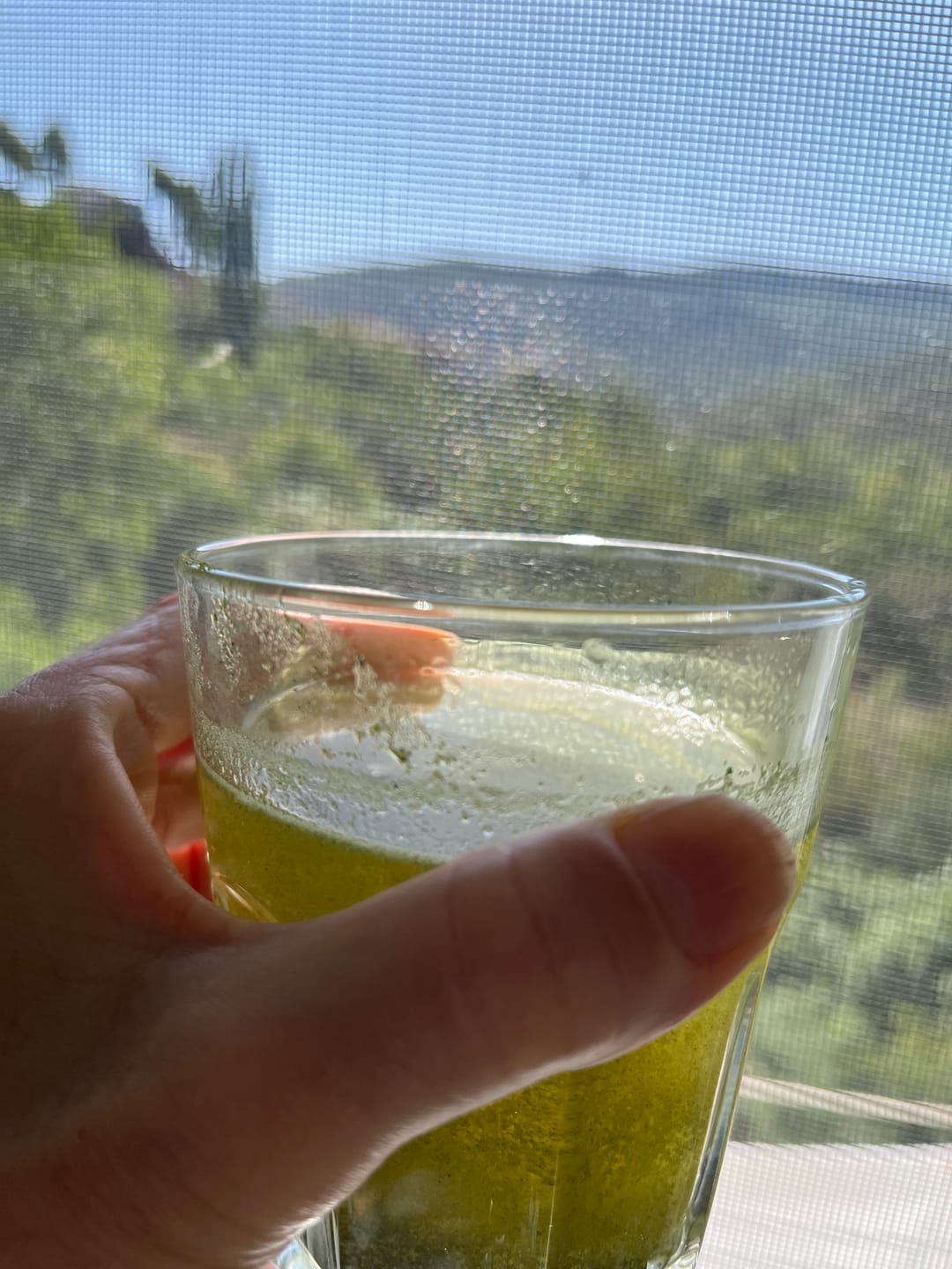 Customer photo review of Matcha Detox Green (SOLO HOY)