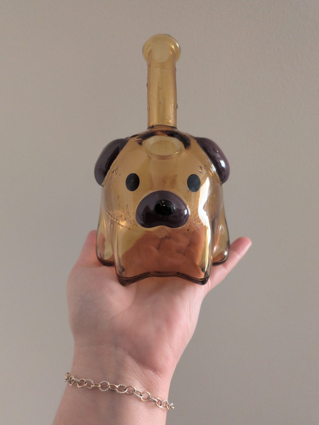 Customer photo review of DOG BUBBLER