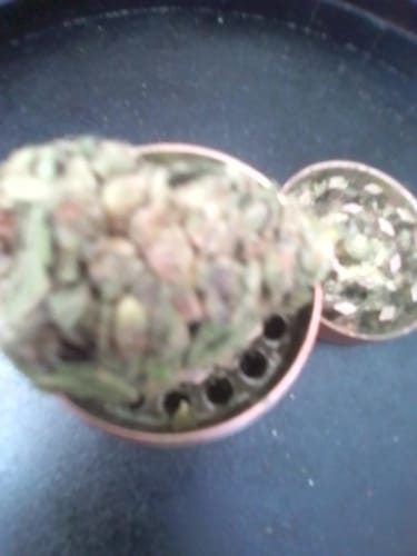 KIND - Guava Lato - 28 Grams - Hybrid photo review