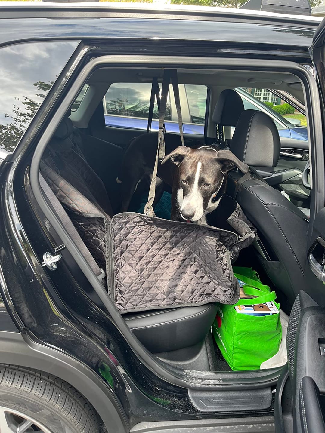Customer photo review of DOG CAR SEAT COVER