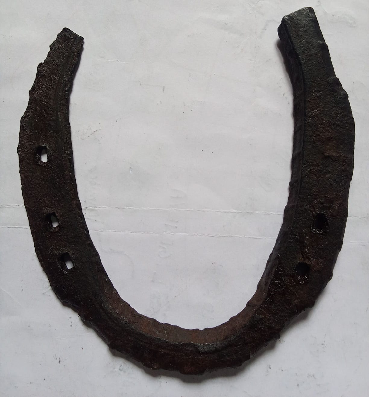 Customer photo review of RudraGram Black Horse Shoe - 100% Natural & Certified