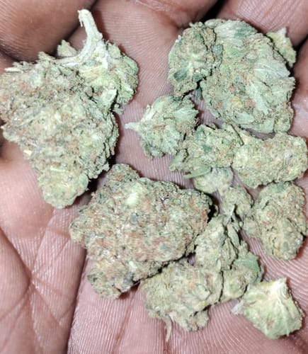 King Louis XIII - 28 Grams - Indica photo review
