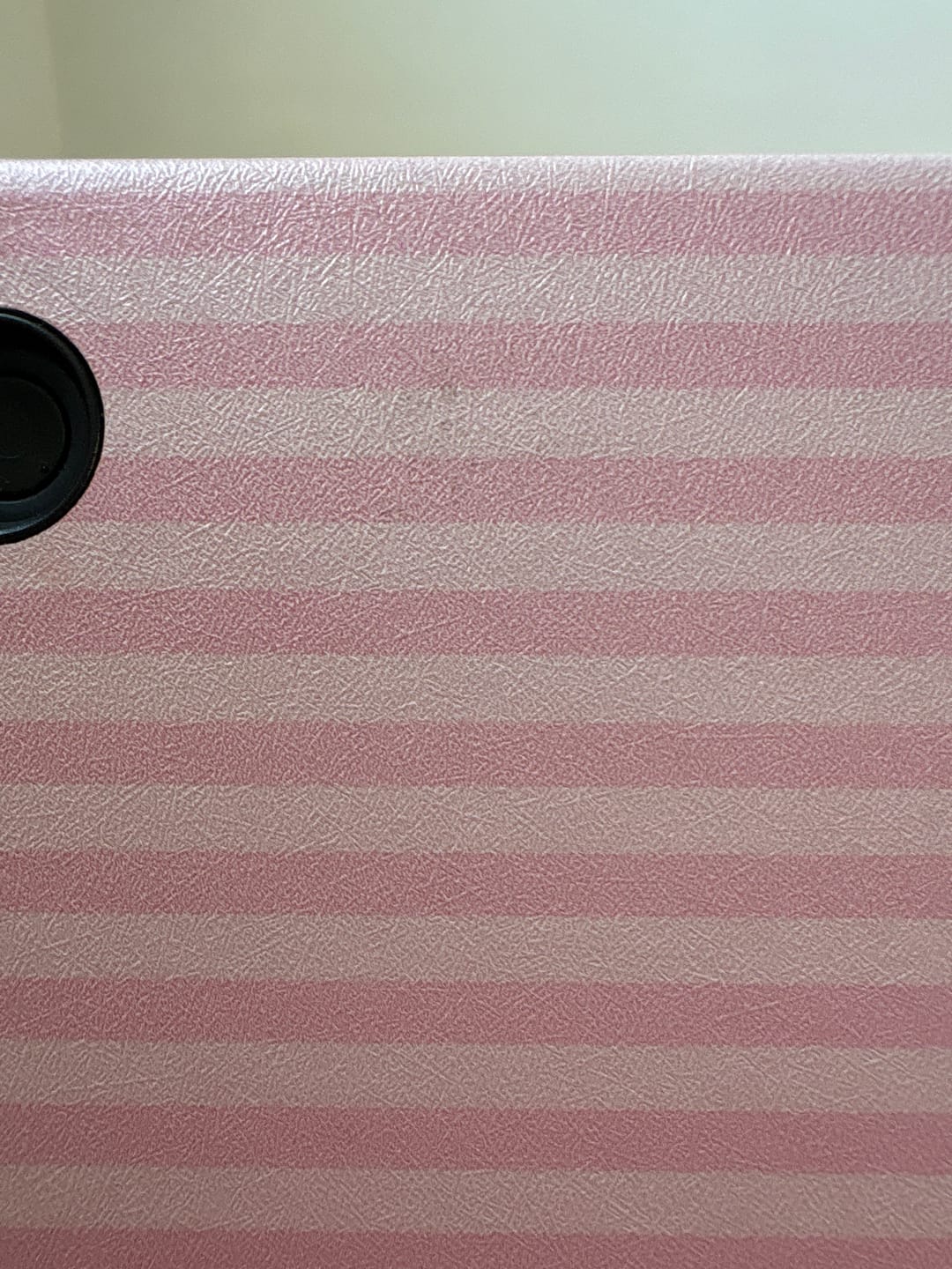 Customer photo review of Probably Reading E-Reader Case