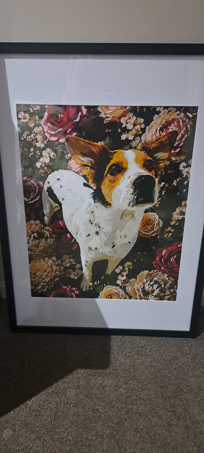Customer photo review of Custom Paint By Numbers