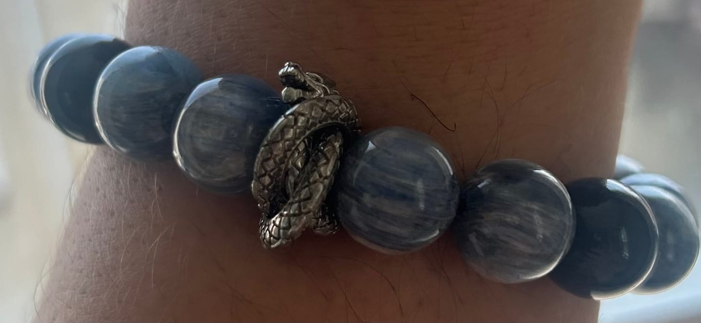 Customer photo review of The Founder's Deep Sea Dragon