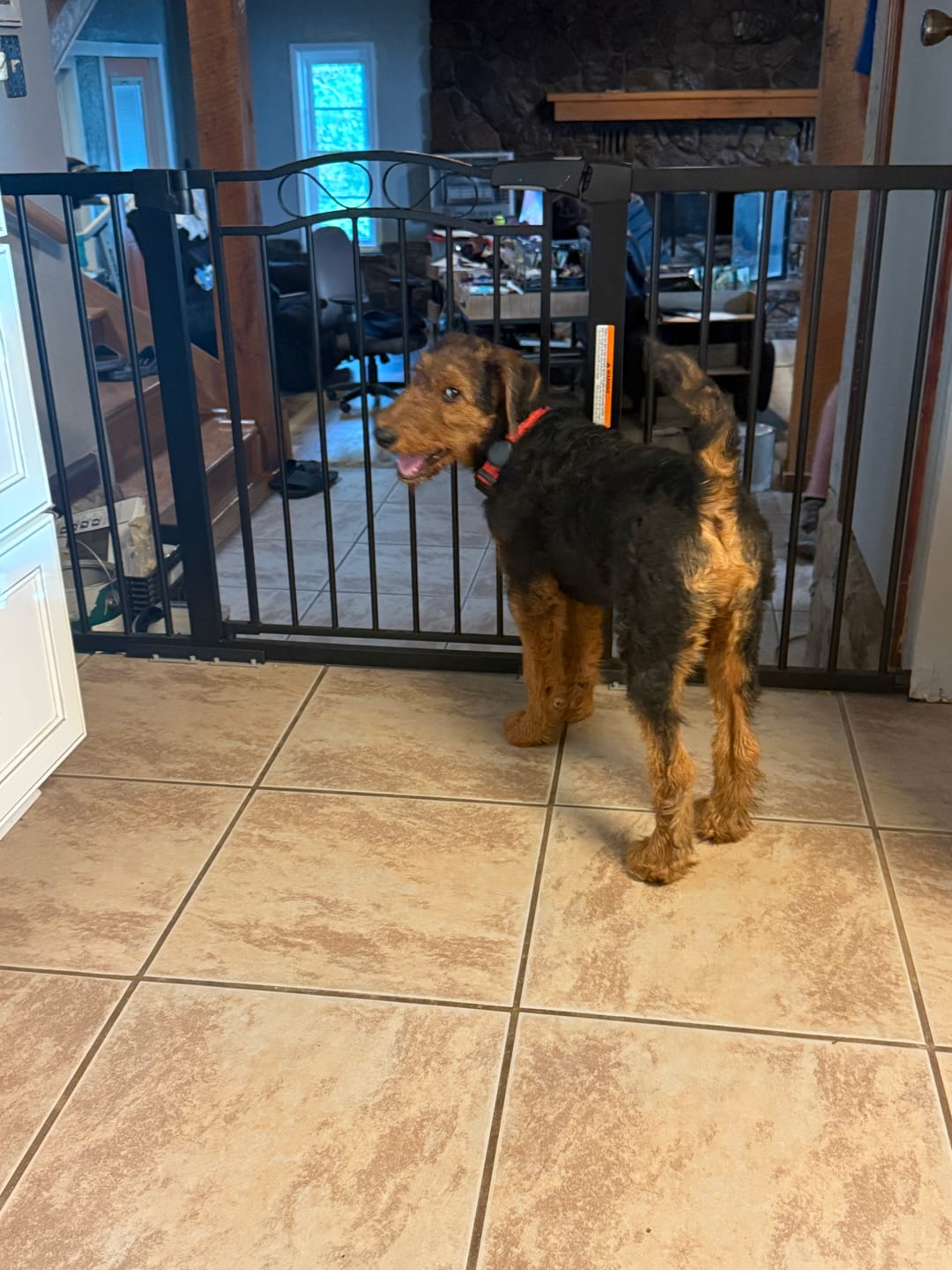 Customer photo review of FairyBaby Arch-Shaped Walk Through Baby Gate With 23.5" Extra Wide Walk Through Door