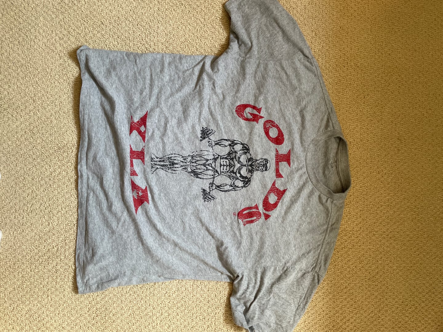 Customer photo review of 4213 - Gold's Iron Legacy Icon Tees