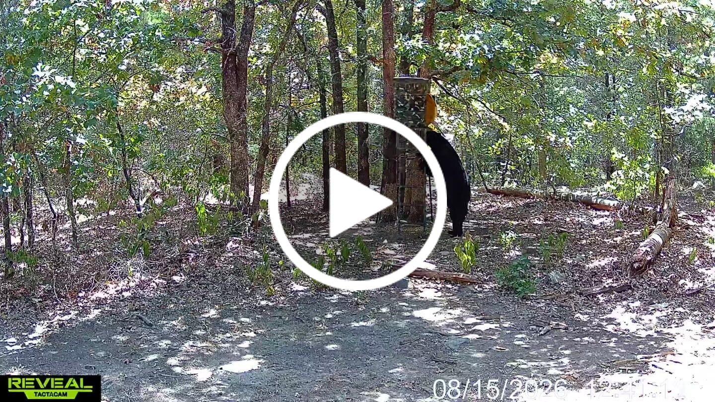 Customer video review of Buy 3 & Save! Tactacam Reveal Pro 4.0 Power Bundles with R5 Solar Panels, FlexPack R5 Batteries, Lockable Steel Reinforced Straps, and Cleaning Cloth