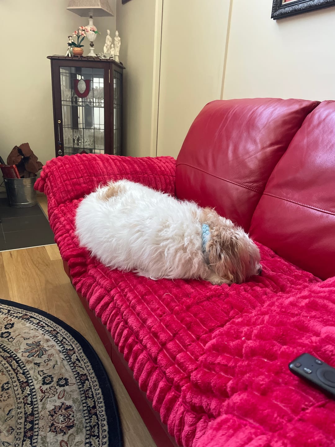 Customer photo review of CouchCloud - Couch Covers