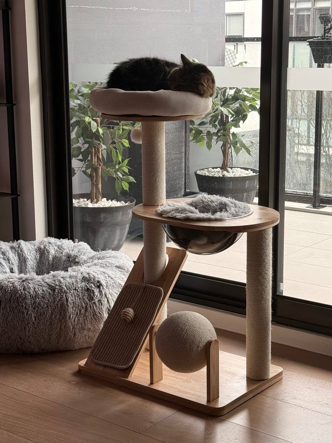 Customer photo review of 3-Tier Wooden Cat Tree with Scratching Posts & Play Features