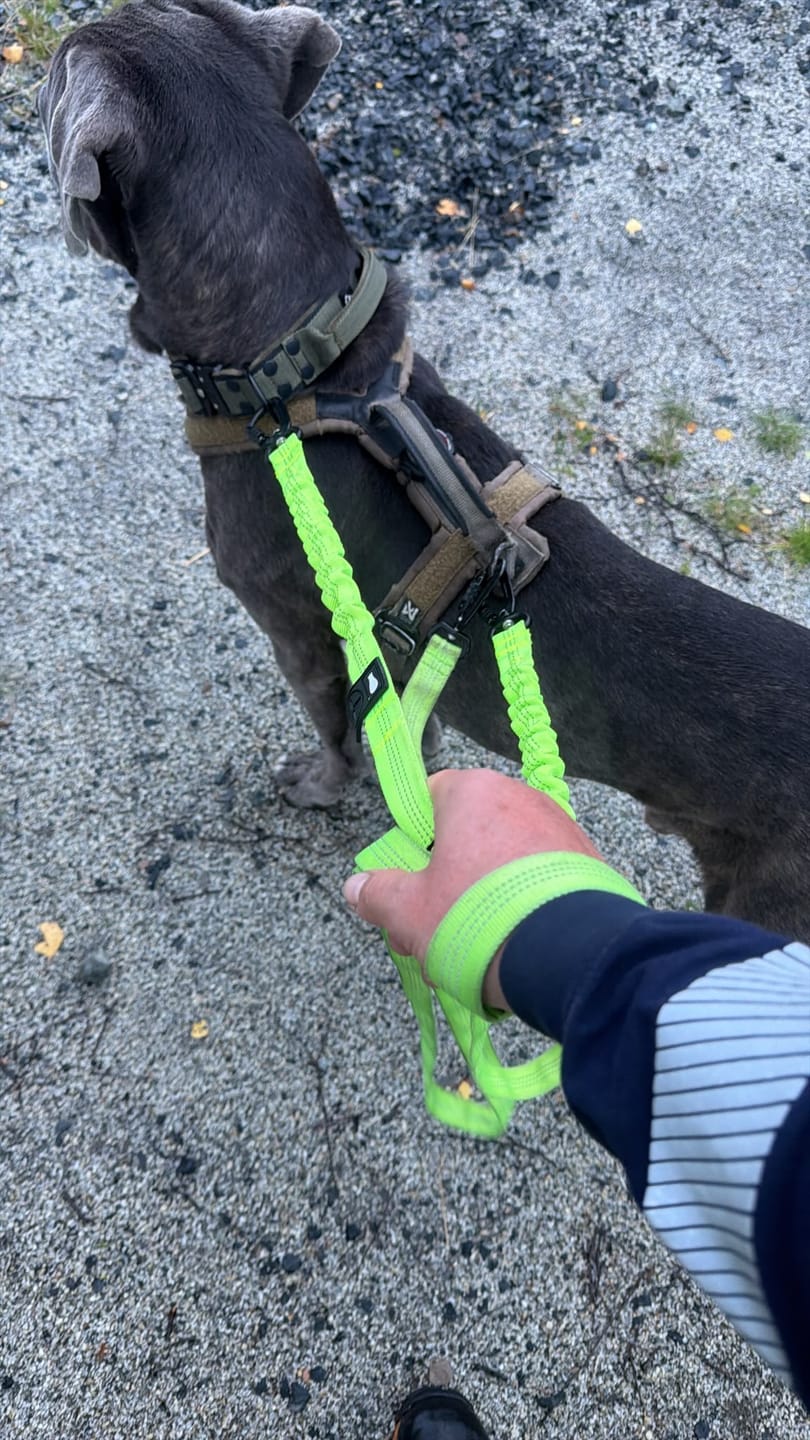 Customer photo review of Extreme Buckle Black Edition Khaki - Starkt och säkert halsband