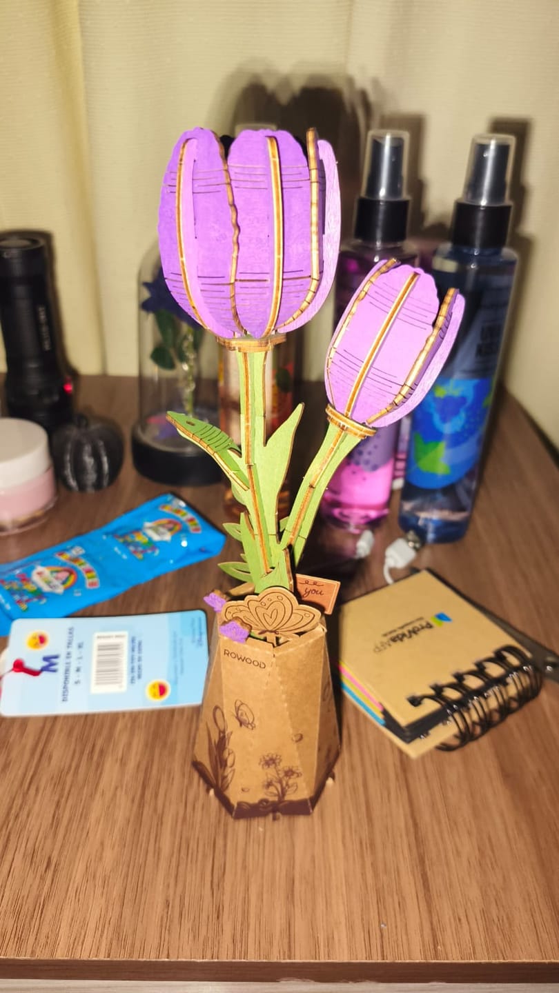 Customer photo review of Flor de Tulipan Púrpura - Maqueta de Madera - Robotime