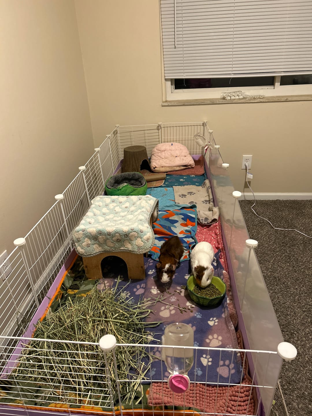 Customer photo review of The Kavee C&C Habitat - 6x2
