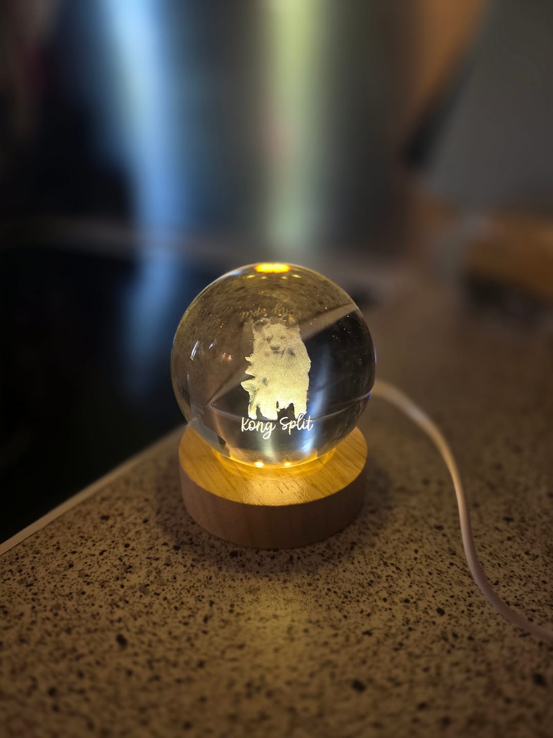 Customer photo review of Custom Pet Photo Always in My Heart - Personalized Crystal Ball LED Night Light - Pet Memorial Gift for Loss of Pet, Sympathy Gift for Pet Lovers