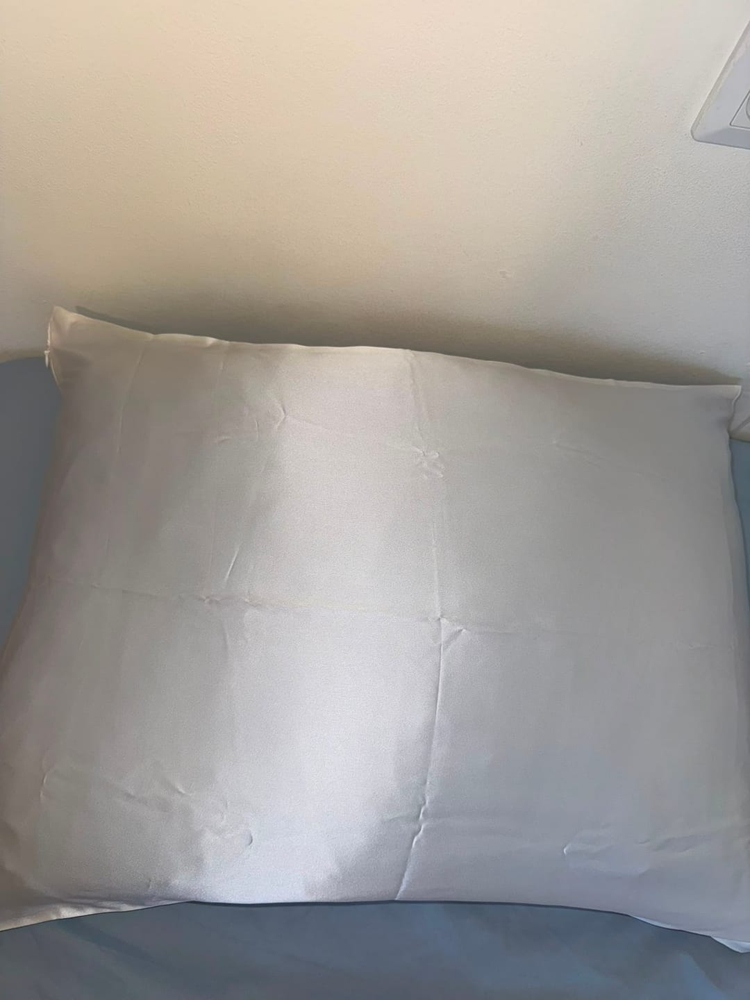 Customer photo review of ציפית משי 22Momme - בז׳