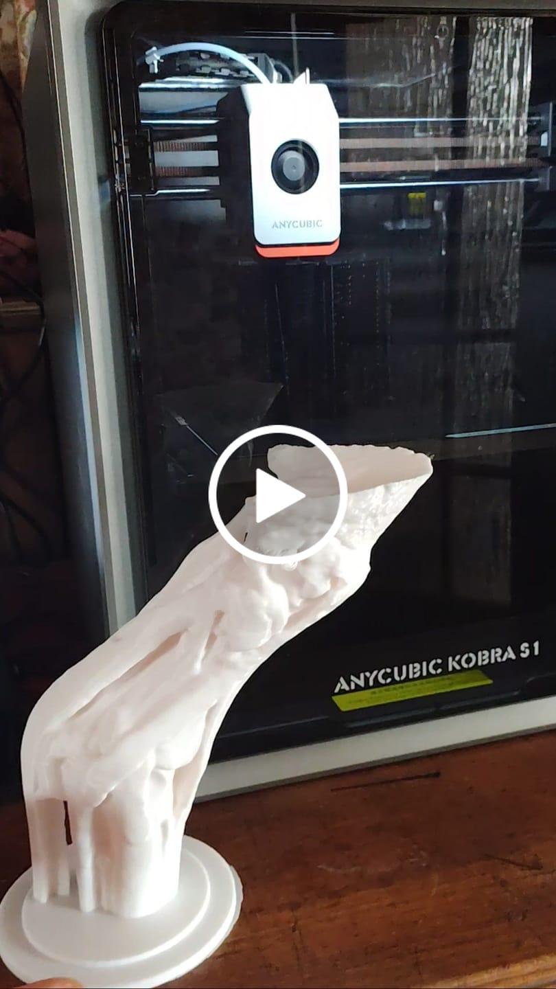 Customer video review of Anycubic Kobra S1 Combo