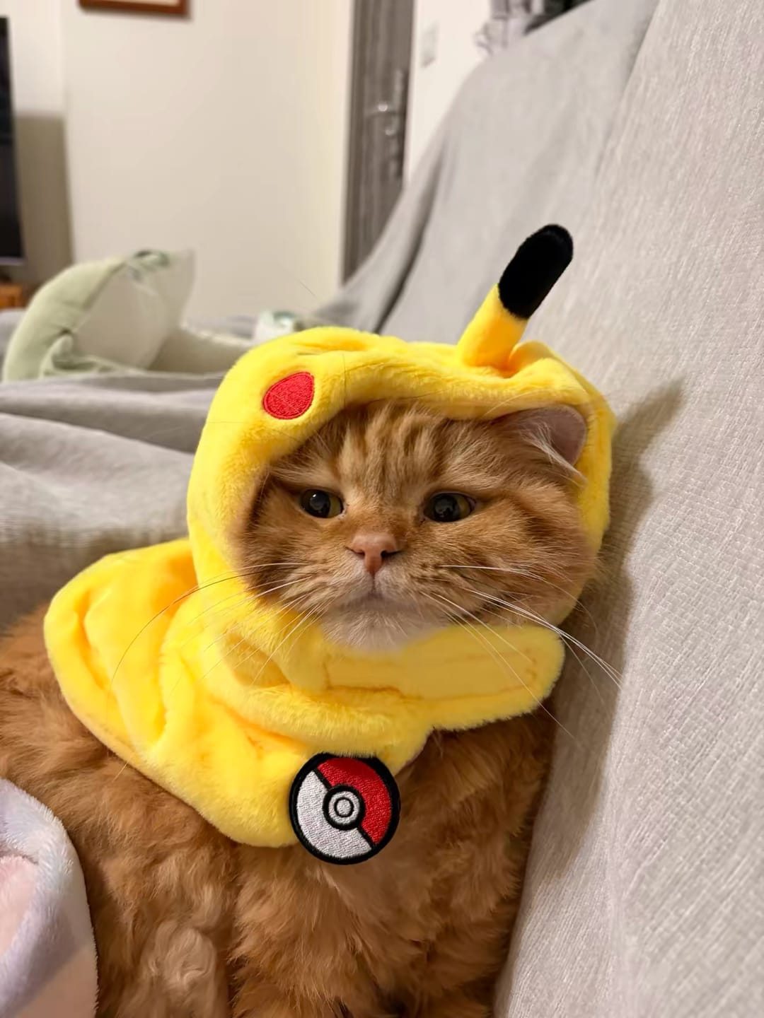 Customer photo review of Poké Pet Costume